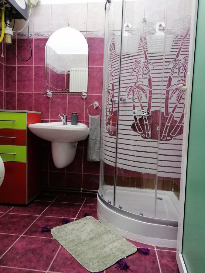 티미쇼아라 Apartament Josefin 아파트 외부 사진